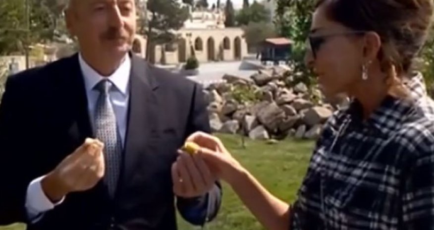 Prezident xanımı ilə Balaxanıda əncir yedi  - VİDEO