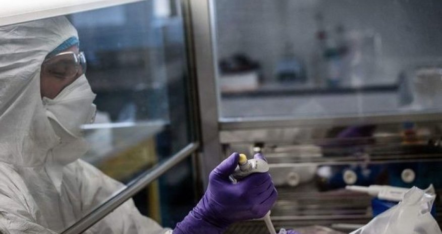 Azərbaycanda daha doqquz nəfər koronavirusdan öldü - STATİSTİKA