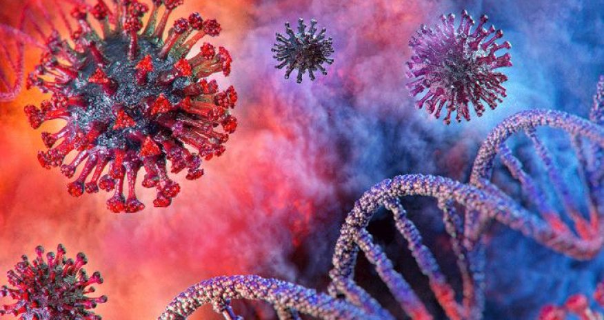 Alimlər koronavirusun gedişatını yüngülləşdirən faktoru açıqlayıblar