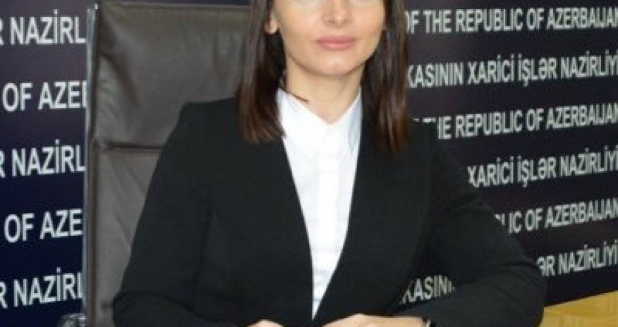 “Ermənistan beynəlxalq məhkəmələr qarşısında cavab verməlidir”