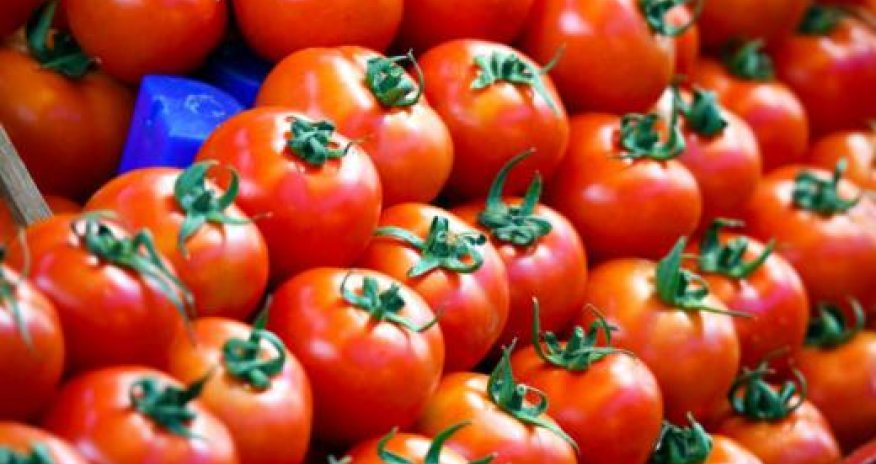 РФ увеличила квоту Турции на поставки томатов до 250 тыс. тонн