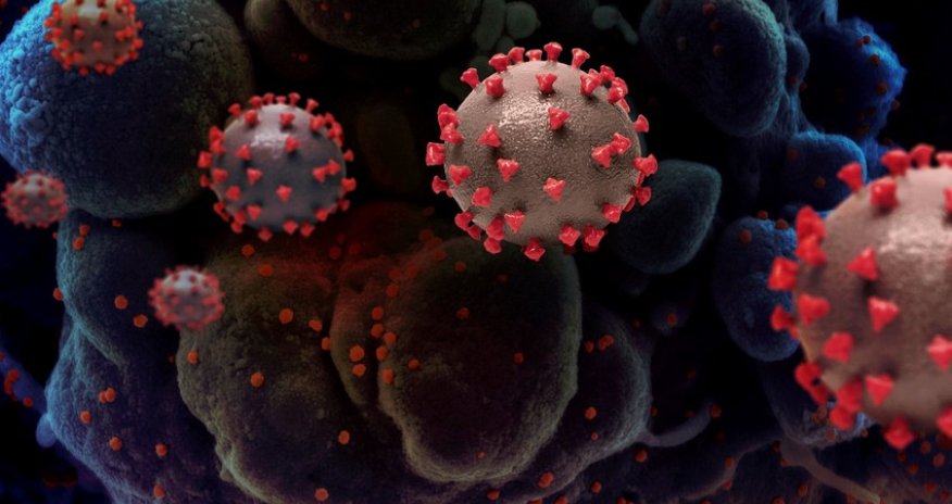 Врач рассказал, что мешает выработке антител у переболевших COVID-19