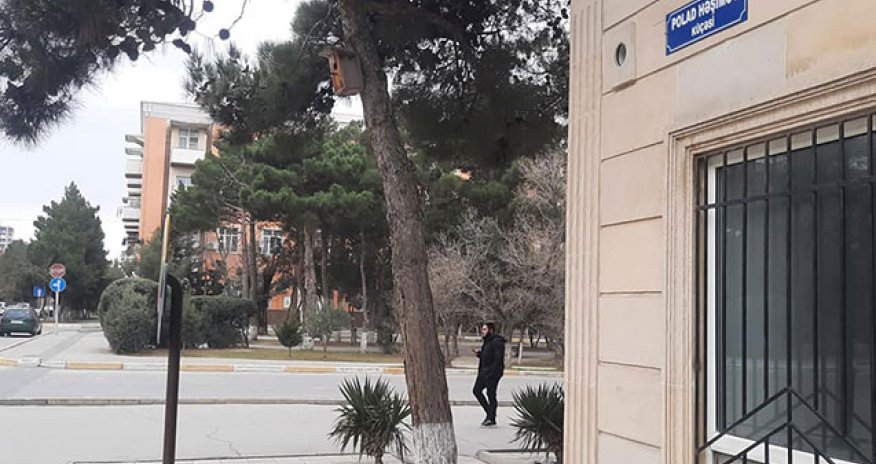 Sumqayıtın mərkəzi küçəsinə Polad Həşimovun adı verildi - FOTO
