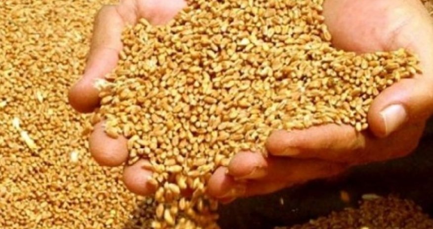 Gürcüstan Rusiya buğdasından imtina edir