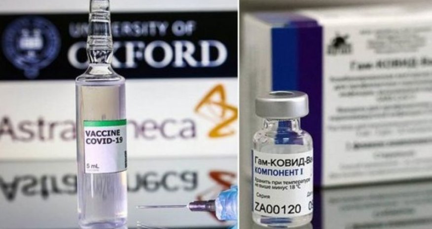 Azərbaycana gələcək peyvəndlər belə hazırlanır - VİDEO