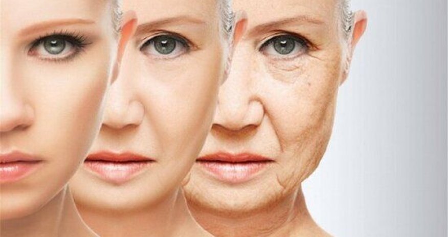 Bu meyvə qocalmanın qarşısını alır