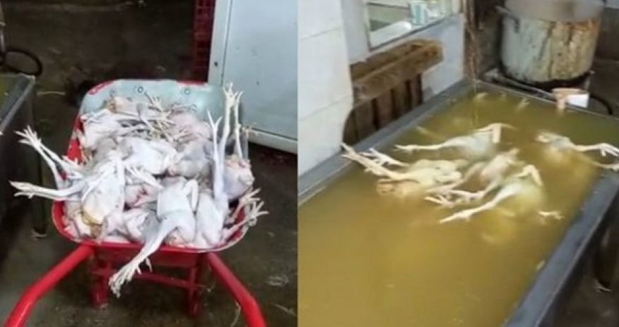 АПБА выявило серьезные нарушения в деятельности пункта забоя птицы - ФОТО