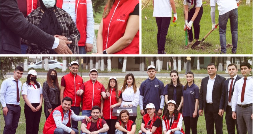 Daha bir neçə rayonda “Vətən Bağı” yaradıldı