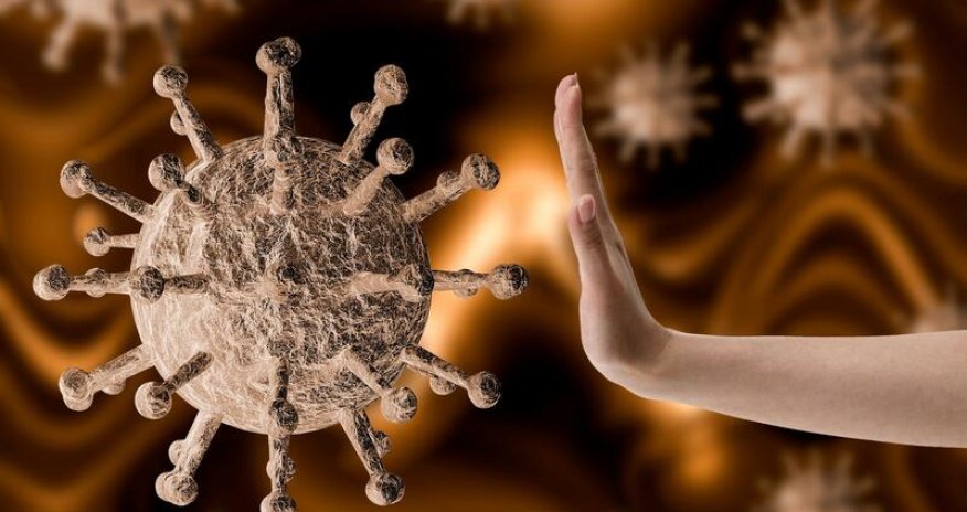 Məşhur professordan xəbərdarlıq: dördüncü dalğa...