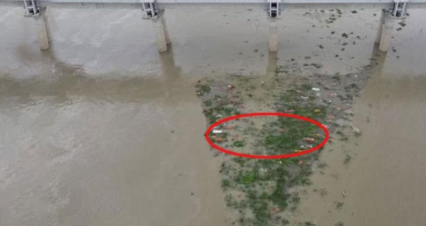 Qorxunc mənzərə: minlərlə meyit suyun üzündə göründü - FOTOLAR