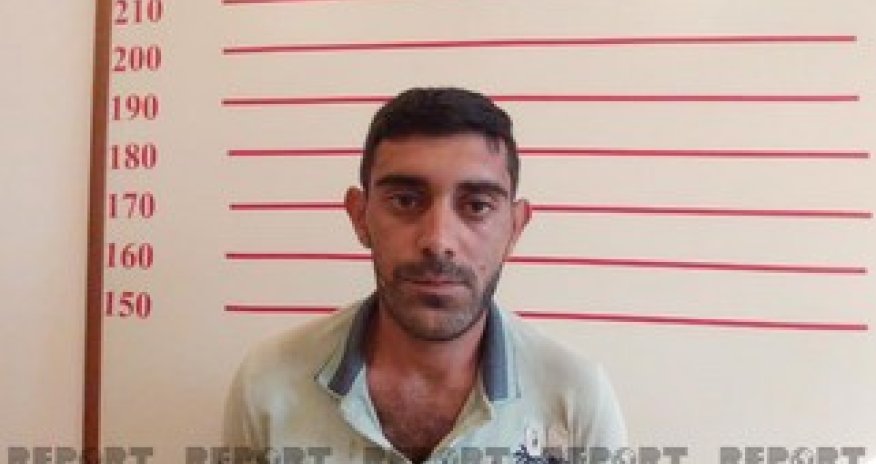 Qubada yarım tona yaxın narkotik bitkiləri becərən dəstə üzvləri saxlanılıb