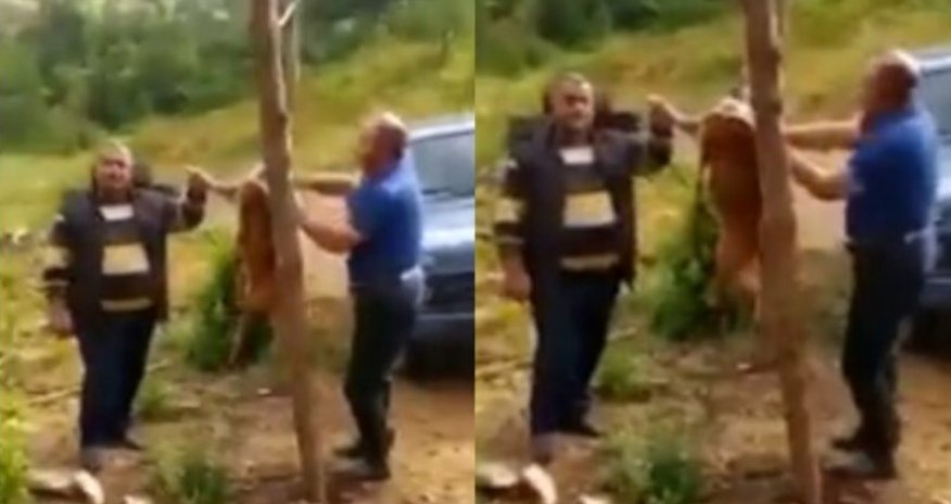 Laçında iki nəfərin cüyür ovlayıb, kef məclisi təşkil etməsi ilə bağlı DİN-dən AÇIQLAMA - VİDEO