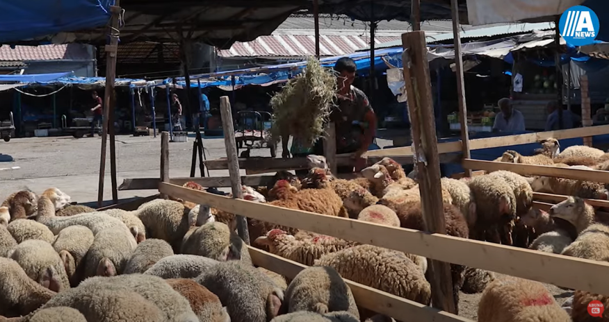 Bakıda Qurban bayramı ovqatı - Video
