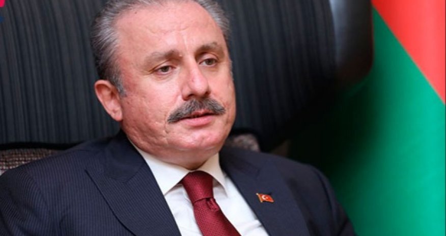 Şentop ortaq türk ordusunun yaradılması ilə bağlı suala hansı cavabı verib? - Video