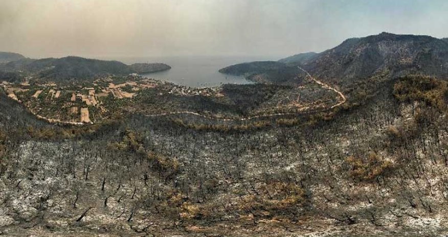 Bodrum və Milas qara rəngə boyandı: Ürək dağlayan görüntülər (VİDEO/ FOTO)