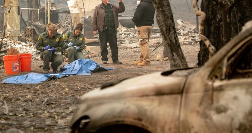 Kaliforniyada 893 bina tamamilə yanıb