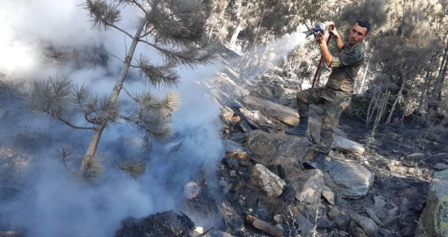FHN Türkiyədəki fəaliyyəti ilə bağlı məlumat yaydı - Video