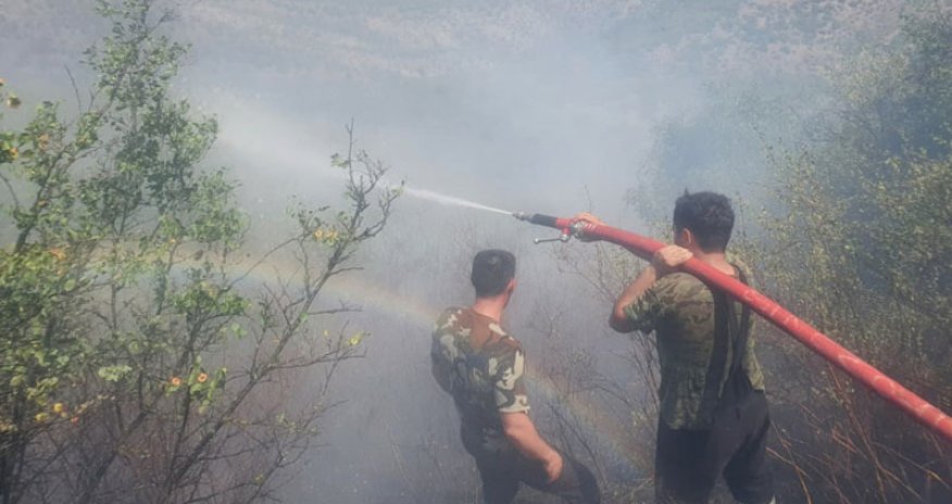 Qəbələdə dağlıq ərazidəki yanğın söndürülüb-VİDEO