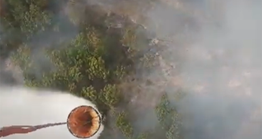 Qəbələdəki yanğın nəzarətə götürüldü - Video