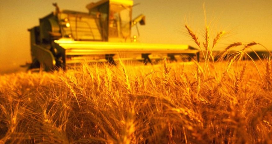 Производство сельхозпродукции в Нахчыване выросло на 3,1%