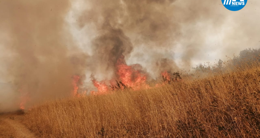Ağsu rayonunda kəndləri yandıran kimdir?- RƏSMİ AÇIQLAMA-FOTOLAR
