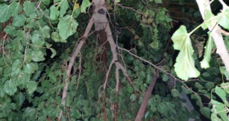 Gəncədə qaz xəttini ildırım vurdu - Fotolar