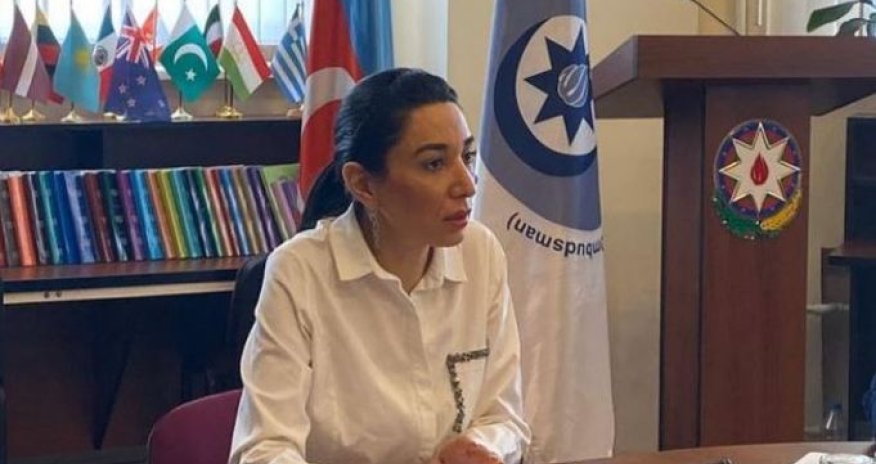Ombudsman: Azerbaijan still suffers from military provocations