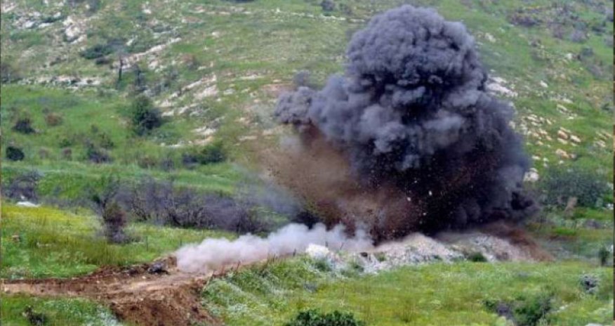 In August, the area of cleared decreased by 6.4