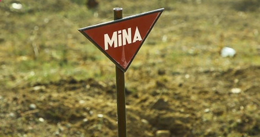 ANAMA minatəmizləmə barədə məlumat yaydı