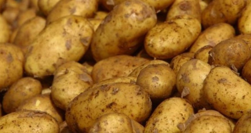 Азербайджан увеличил экспорт картофеля в Россию