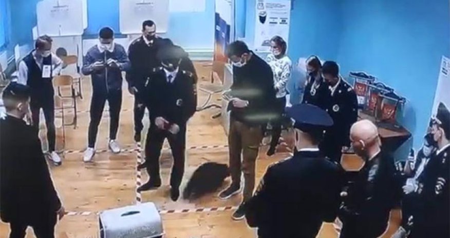 Moskvada seçki məntəqəsində polisin yenotla “imtahanı” - Video