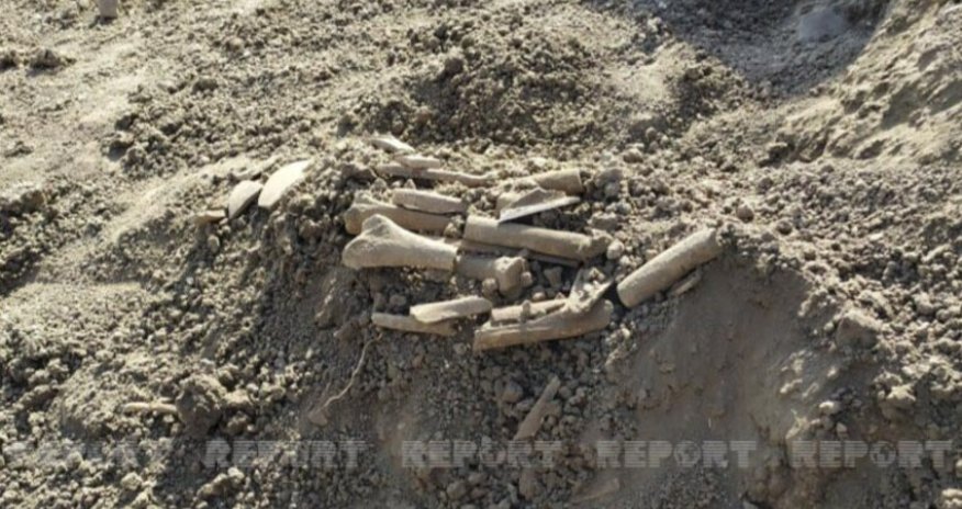 Cəlilabadda qədim məzarlıq aşkarlanıb