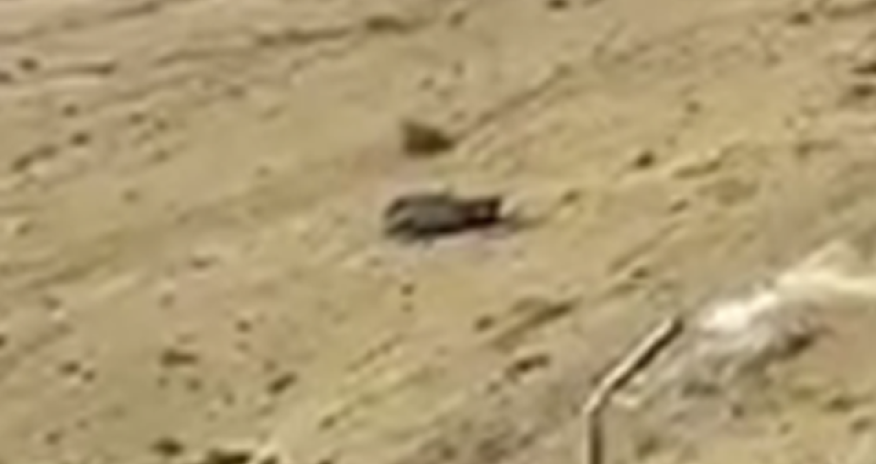 Bakıda maşın dərəyə yuvarlandı - Video