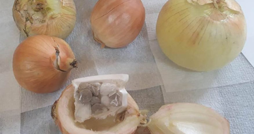 Təcridxanaya soğan və corabın içində narkotik keçirmək istədilər - Foto