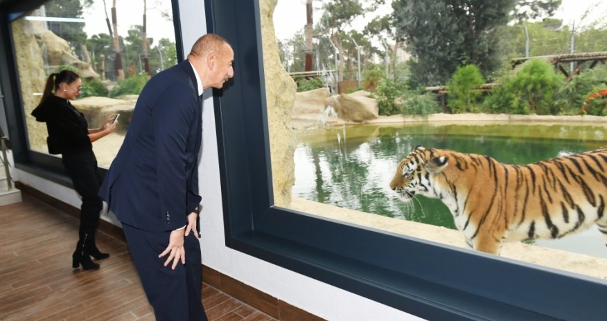 Prezidentlə ailəsi zooparkın açılışında - Fotolar