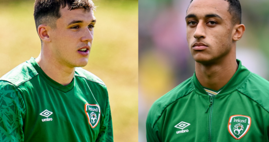 Двое игроков сборной Ирландии изолированы в Баку из-за болезни