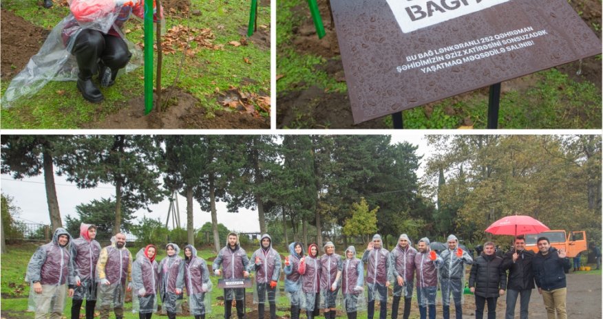 Daha bir neçə rayonda “Vətən Bağı” yaradıldı