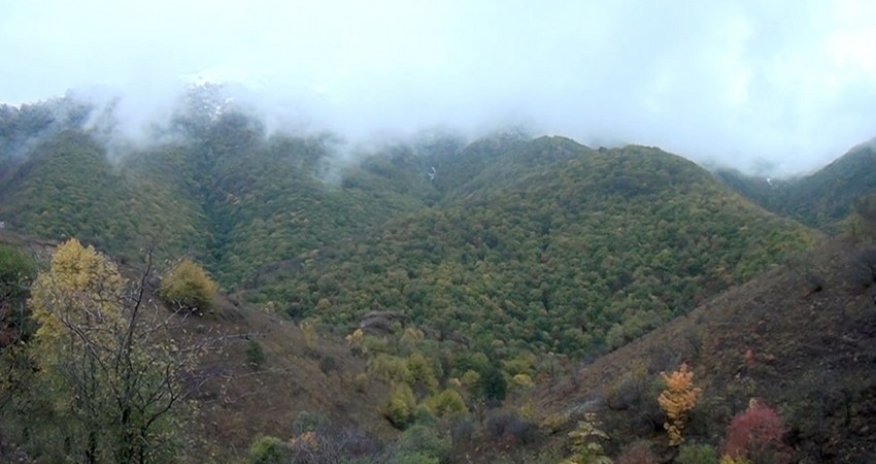 MN Kəlbəcərdən görüntülər yaydı-VİDEO