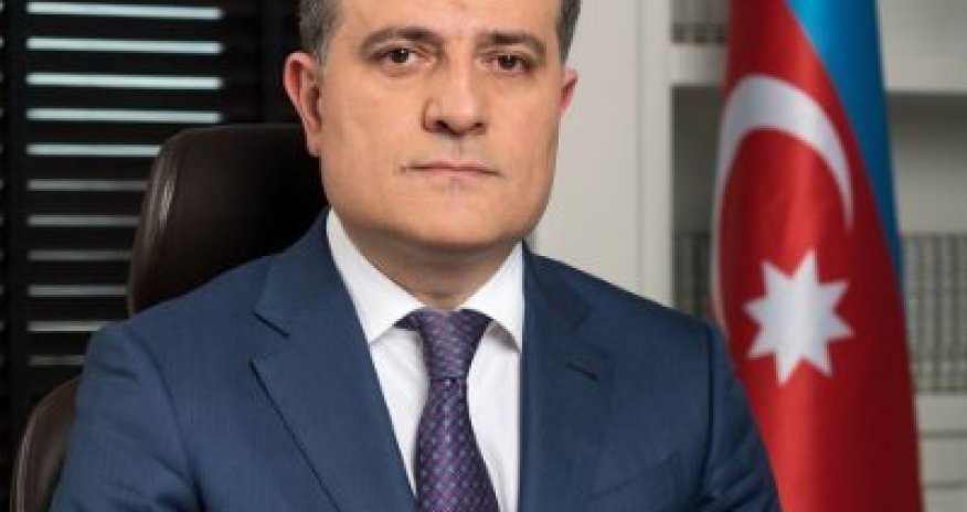 Azerbaijani FM calls for more intensive fight against pandemic