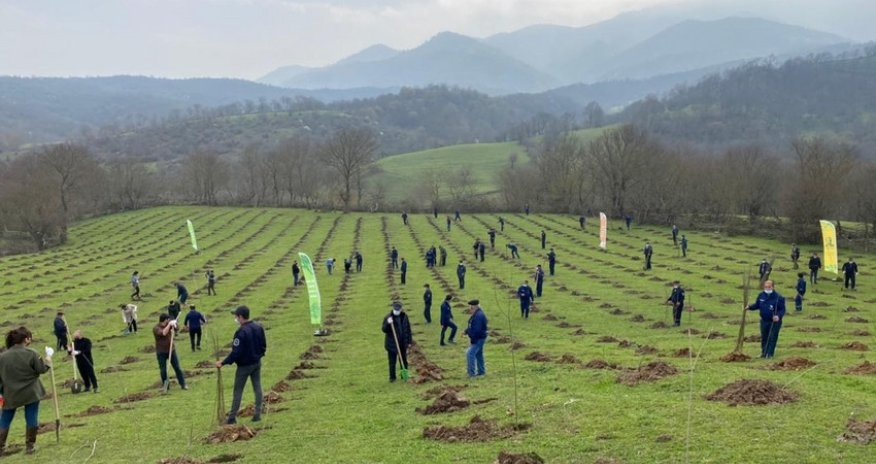 Azerbaijan joins Turkish action, 111,000 trees to be planted