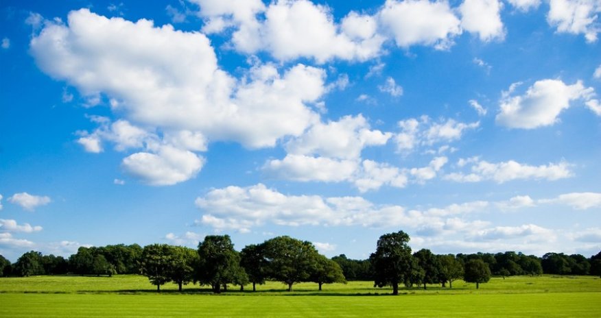 Rainless weather forecasted tomorrow