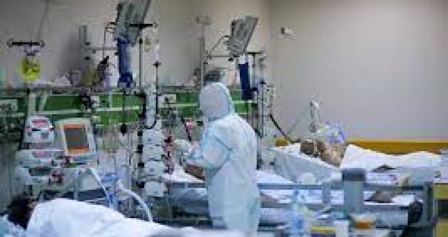 Коронавирус в Азербайджане