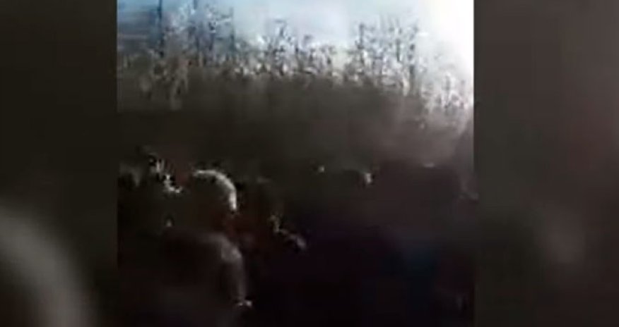 Ermənistanda müxalif lider saxlanıldı - Video