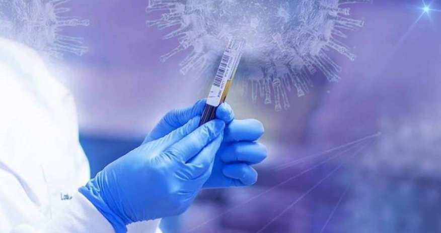 Ученые работают над вакциной для пожизненного иммунитета от COVID-19