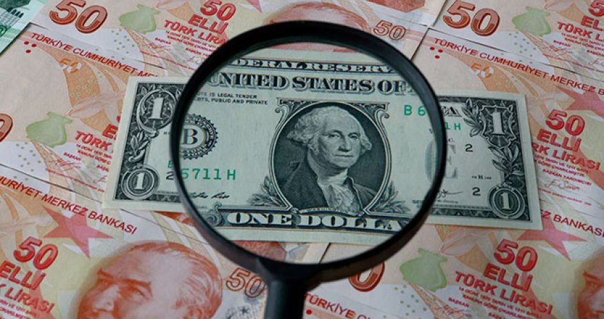 Dollar 14 lirəyə çatır