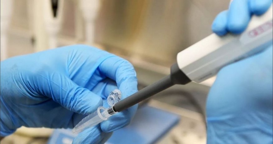 В странах ЕС использовали более 735 млн доз вакцин против коронавируса