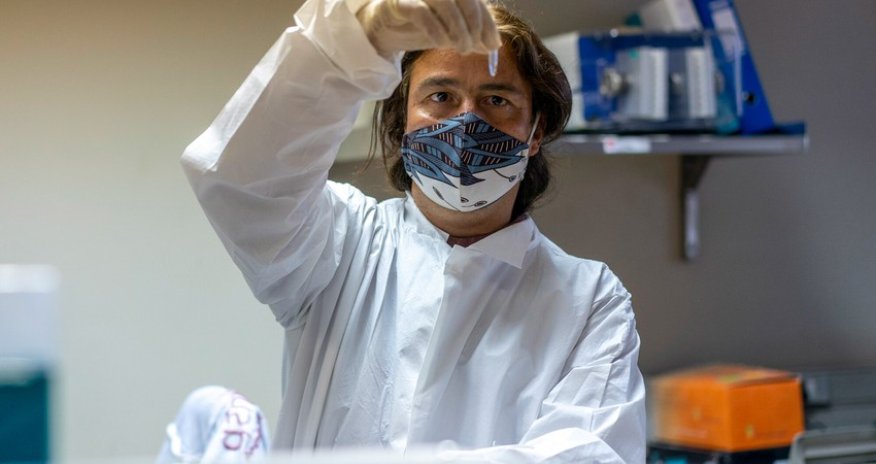 New Zealand to apply three phase public health response to Omicron