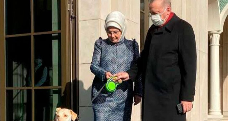 Ərdoğanla xanımının səhhəti ilə bağlı - AÇIQLAMA