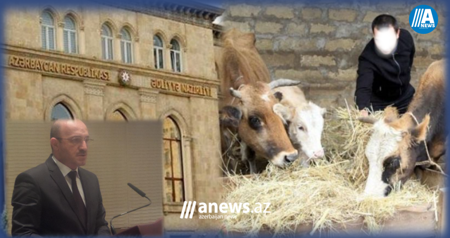 Örüş torpaqları 16 dəfə bahalaşıb - Prezident  dəstəkləyir, Ədliyyə Naziriliyi  əngəlləyir 