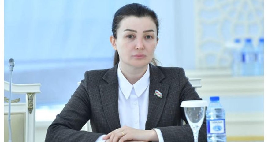 Deputat bu vəzifəsindən istefa verdi